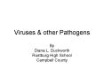 Viruses