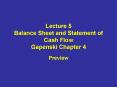 Lecture 5 Balance Sheet and Statement of Cash Flow Gapenski Chapter 4