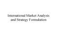 International Market Analysis and Strategy Formulation