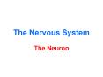 The Nervous System
