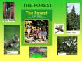 THE FOREST