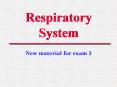 Respiratory System