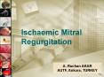 Ischaemic Mitral