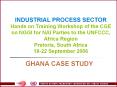 INDUSTRIAL PROCESS SECTOR Hands on Training Workshop of the CGE on NGGI for NAI Parties to the UNFCC