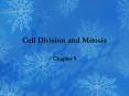 Cell Division and Mitosis
