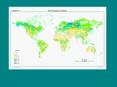 Soil Carbon in Global Perspective