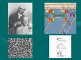 The Process of Giving Meaning: Lessons Learned from the Experience of Parents of a Child with Duchenne Muscular Dystrophy