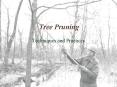 Tree Pruning