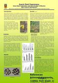 Acacia Seed Supremacy: Does Seed Production and Germination Influence Rare Acacia Abundance