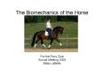 The Biomechanics of the Horse