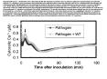 Supplemental Figure 2. Coinfiltration of the CaM antagonist W7 with avirulent Pst avrRpt2  does not affect the pathogen-associated long-term sustained cytosolic Ca2  elevation. Leaves of aequorin-expressing plants were infiltrated with the avirulent
