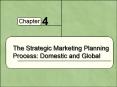 The Strategic Marketing Planning Process: Domestic