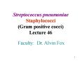 Streptococcus pneumoniae Staphylococci Gram positive cocci Lecture 46