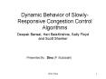 Dynamic Behavior of SlowlyResponsive Congestion Control Algorithms
