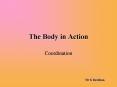 The Body in Action