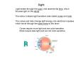 Light enters through the pupil, and reaches the lens, which focuses light on the retina'