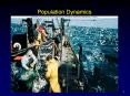 Population Dynamics