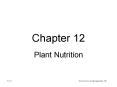 Plant Nutrition