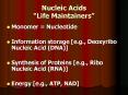 Nucleic Acids Life Maintainers