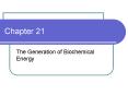 The Generation of Biochemical Energy