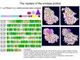 The mystery of the enolase pocket