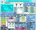 Modeling the Southern Ocean Carbon Cycle