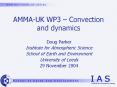 AMMAUK WP3 Convection and dynamics