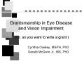 Grantsmanship in Eye Disease and Vision Impairment