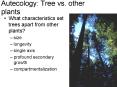 Autecology: Tree vs' other plants