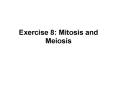 Exercise 8: Mitosis and Meiosis