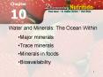 Water and Minerals: The Ocean Within