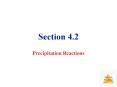 Precipitation Reactions
