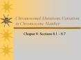 Chromosomal Mutations:Variation in Chromosome Number