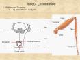 Selling an Idea or a Product