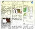 Biomass Mapping