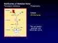 Modifications of Mendelian Ratios