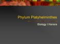 Phylum Platyhelminthes