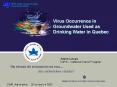 Virus Occurrence in Groundwater Used as Drinking Water in Quebec