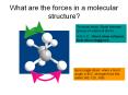 What are the forces in a molecular structure