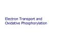 Electron Transport and Oxidative Phosphorylation