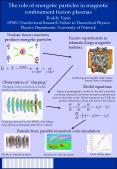 The role of energetic particles in magnetic confinement fusion plasmas