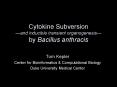 Cytokine Subversion and inducible transient organogenesis by Bacillus anthracis
