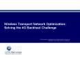 Wireless Transport Network Optimization: Solving the 4G Backhaul Challenge