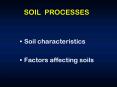 SOIL PROCESSES