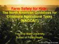 Farm Safety for Kids: The North American Guidelines for Children
