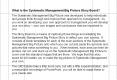 What is the Systematic Management Big Picture Story Board?