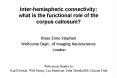Interhemispheric connectivity: what is the functional role of the corpus callosum