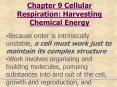 Chapter 9 Cellular Respiration: Harvesting Chemical Energy