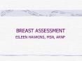 EILEEN HAWKINS, MSN, ARNP