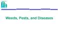 Weeds, Pests, and Diseases